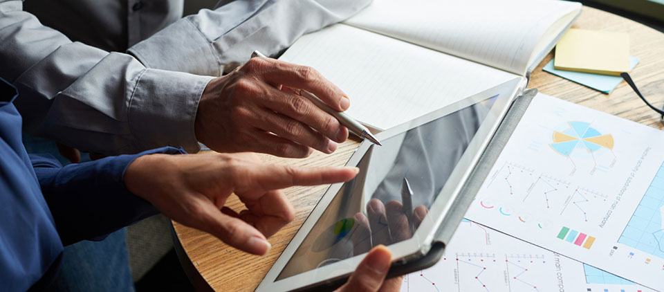 Software Audit Digital
